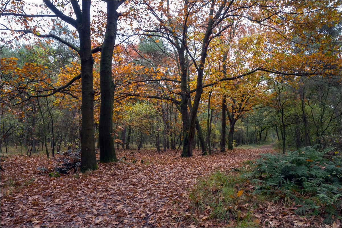 Pelgrimspad: Drunen - Den Bosch - Vught